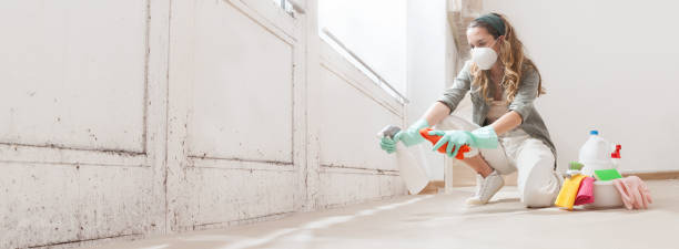 Best Mold Remediation for Healthcare Facilities  in Mount Vernon, GA